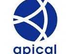 Logo Apical