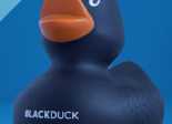 Black Duck