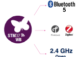 STM32WB