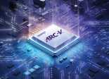 Synopsys RISC-V