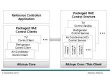 HAE Service Framework