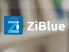 logo ZiBlue