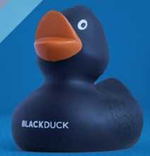 Black Duck