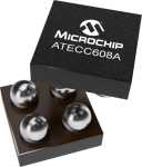 Microchip